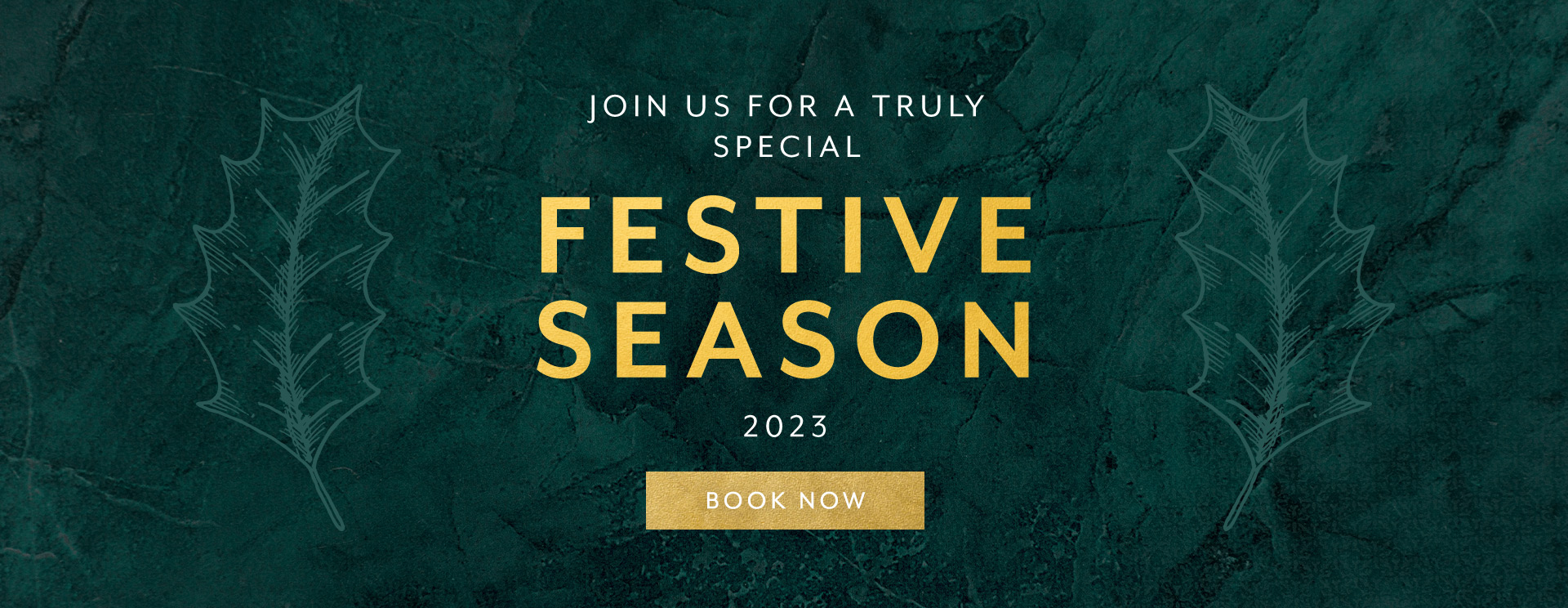Christmas 2023 at Disley